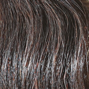 zoogdier Kano Leger Microring Hairextenions | 100% Echt haar | Hairbyshasha.nl